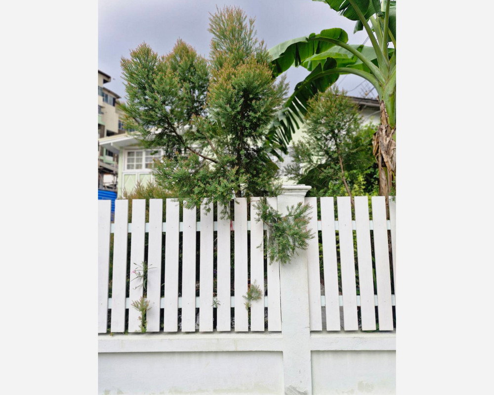 รูป Call : 089-112-4283 หมู่บ้านประชานิเวศน์ 3 เมืองนนทบุรี บ้านเดี่ยว 38 ตารางวา 2 นอน 2 น้ำ ใกล้รถไฟฟ้าสีชมพู สนามบินน้ำ - รูปที่ 2/10