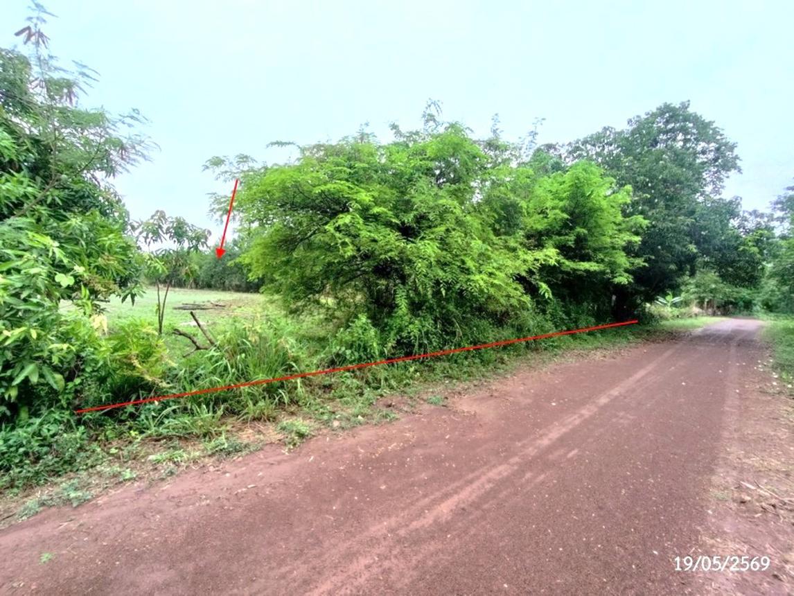 รูป ที่ดินว่างเปล่า 952 ตร.วา วาริชภูมิ สกลนคร 1.3M - รูปที่ 9/18