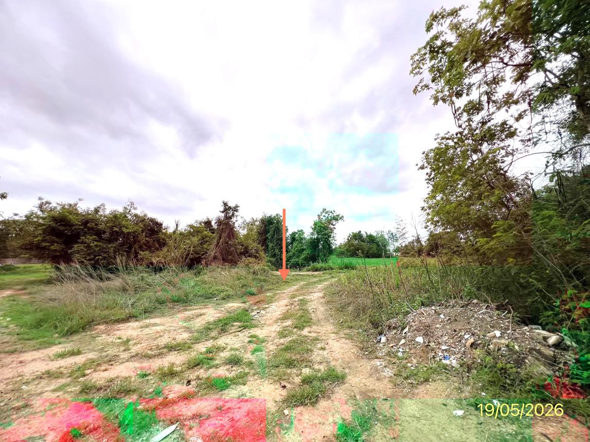 picture LAND 7131 Sq.w. Pak Tho Ratchburi for 3.2M - 10/14