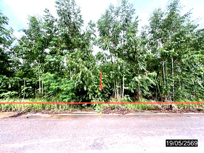 ที่ดินว่างเปล่า 2478 ตร.วา เมืองกาฬสินธุ์ กาฬสินธุ์ 735,000