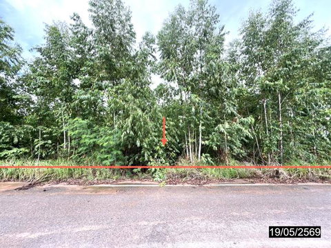 ที่ดินว่างเปล่า 2478 ตร.วา เมืองกาฬสินธุ์ กาฬสินธุ์ 735,000