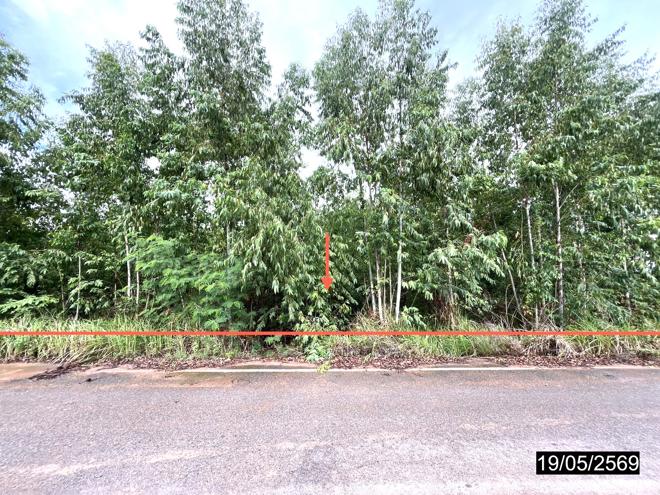 รูป ที่ดินว่างเปล่า 2478 ตร.วา เมืองกาฬสินธุ์ กาฬสินธุ์ 735,000 - รูปที่ 1/16