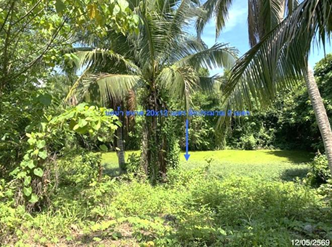 picture HOME 1374.9 Sq.w. Muang Satun Satun for 6.2M - 7/20
