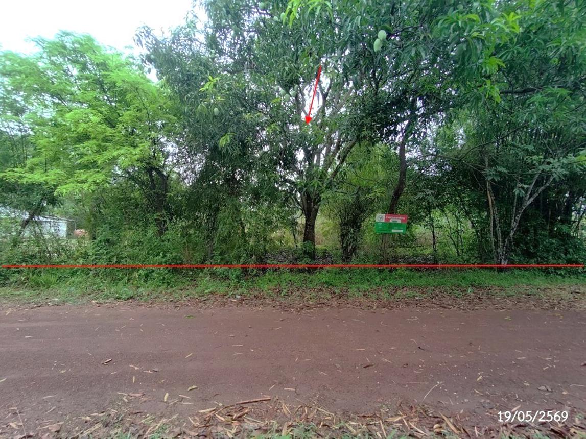 รูป ที่ดินว่างเปล่า 952 ตร.วา วาริชภูมิ สกลนคร 1.3M - รูปที่ 10/18