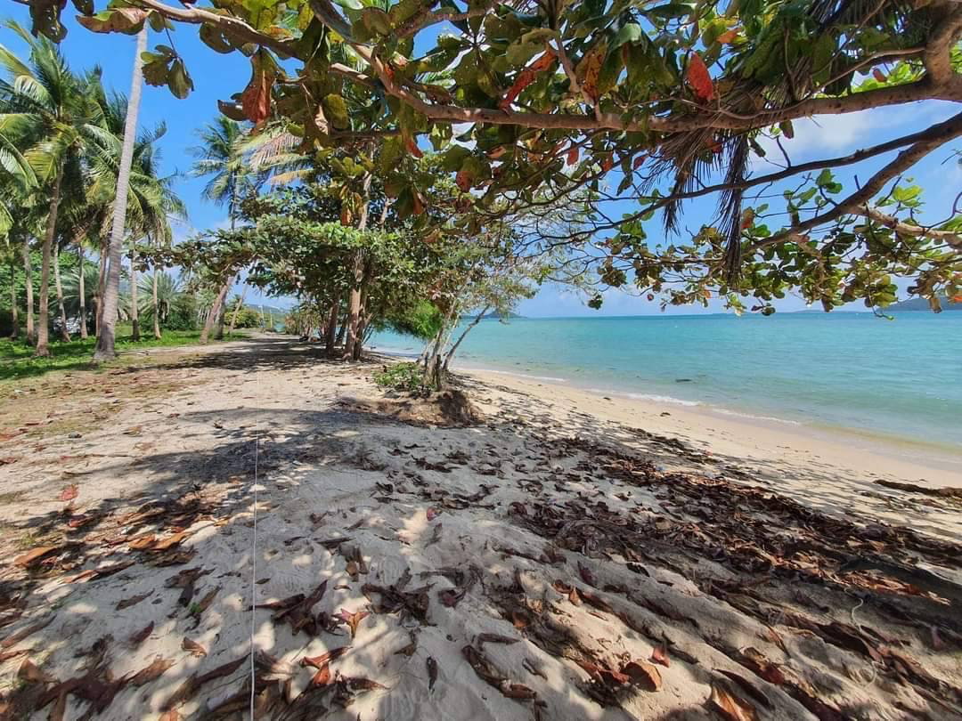 picture Beachfront Land for Sale – Sunset Beach, Koh Samui, Thailand - 2/3