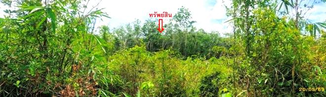 picture LAND 1539 Sq.w. Mae Lan Pattani for 1.4M - 4/22