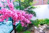listing thumbnail image 24