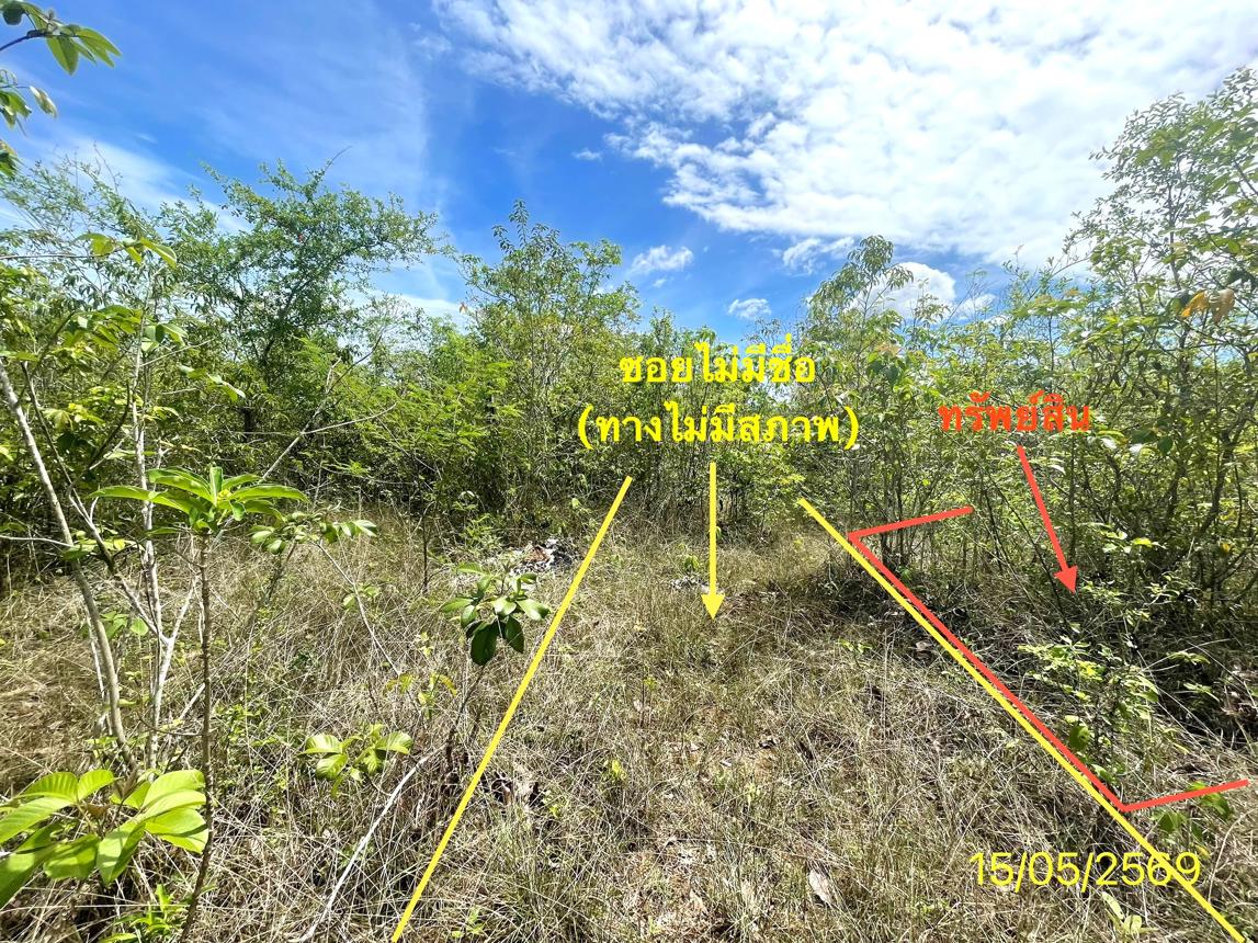 picture LAND 50 Sq.w. Rattaphum Songkhla for 225,000 - 8/14