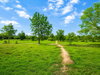 listing thumbnail image 2