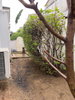 listing thumbnail image 25