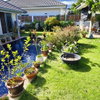 listing thumbnail image 10