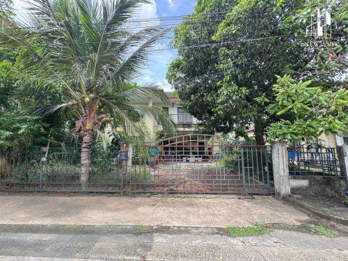 รูป บ้านเดี่ยวหลังใหญ่ 83.4 ตร.ว. มบ.ดิเอมเมอรัลด์ การ์เด้น 1 ราชพฤกษ์-บางบัวทอง ติดถนนเมน จอดรถ 4 คัน ทำเลดีที่สุดในโครงการ  - รูปที่ 2/10