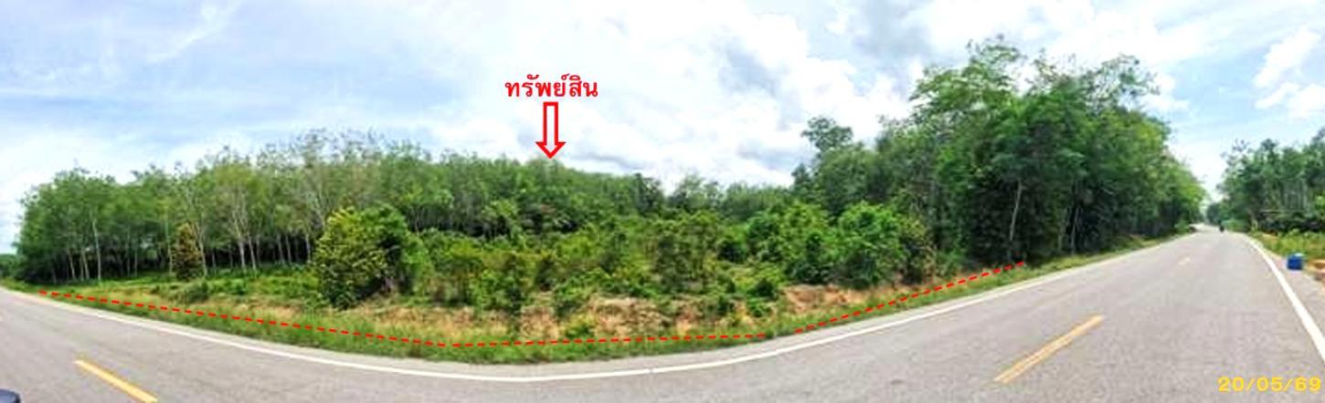 picture LAND 1539 Sq.w. Mae Lan Pattani for 1.4M - 11/22