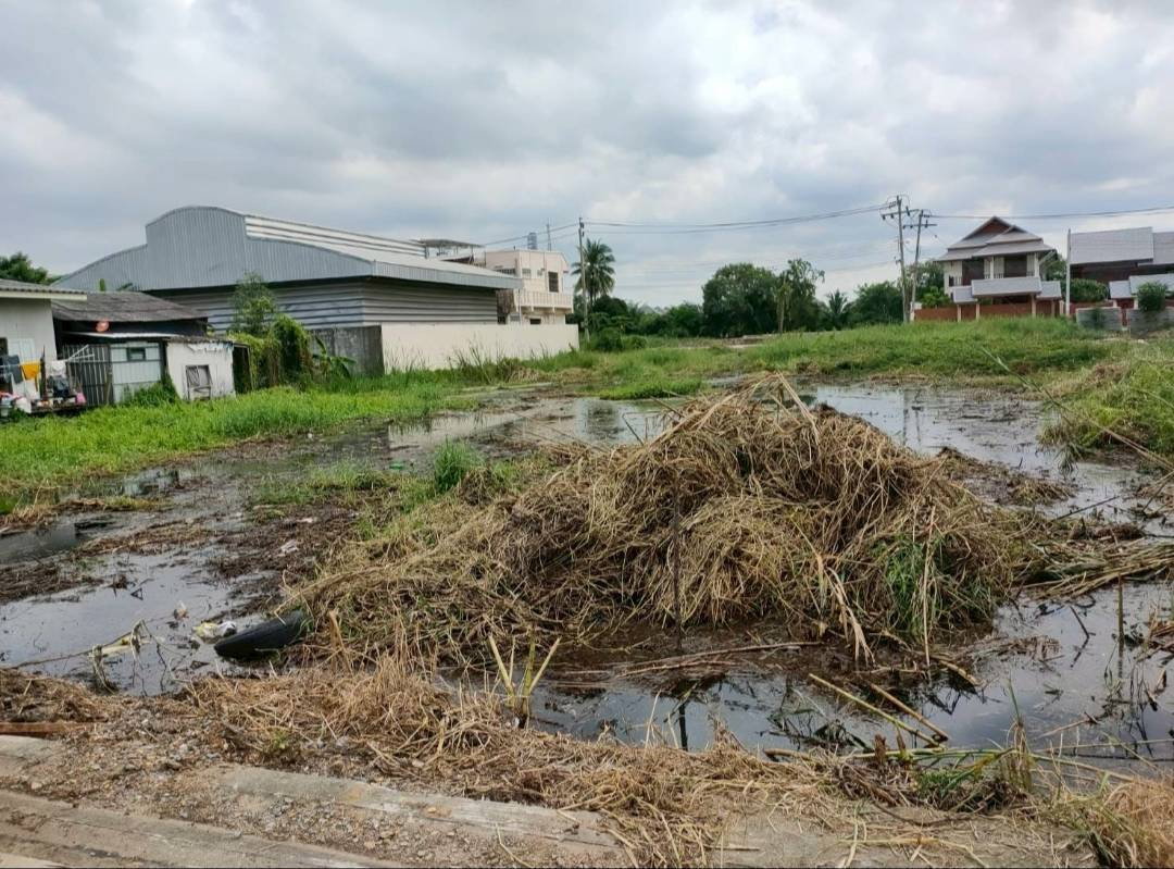 picture Land for urgent sale, 75 square wah, located in Sala Klang Sub-district, Nonthaburi Province. - 4/4