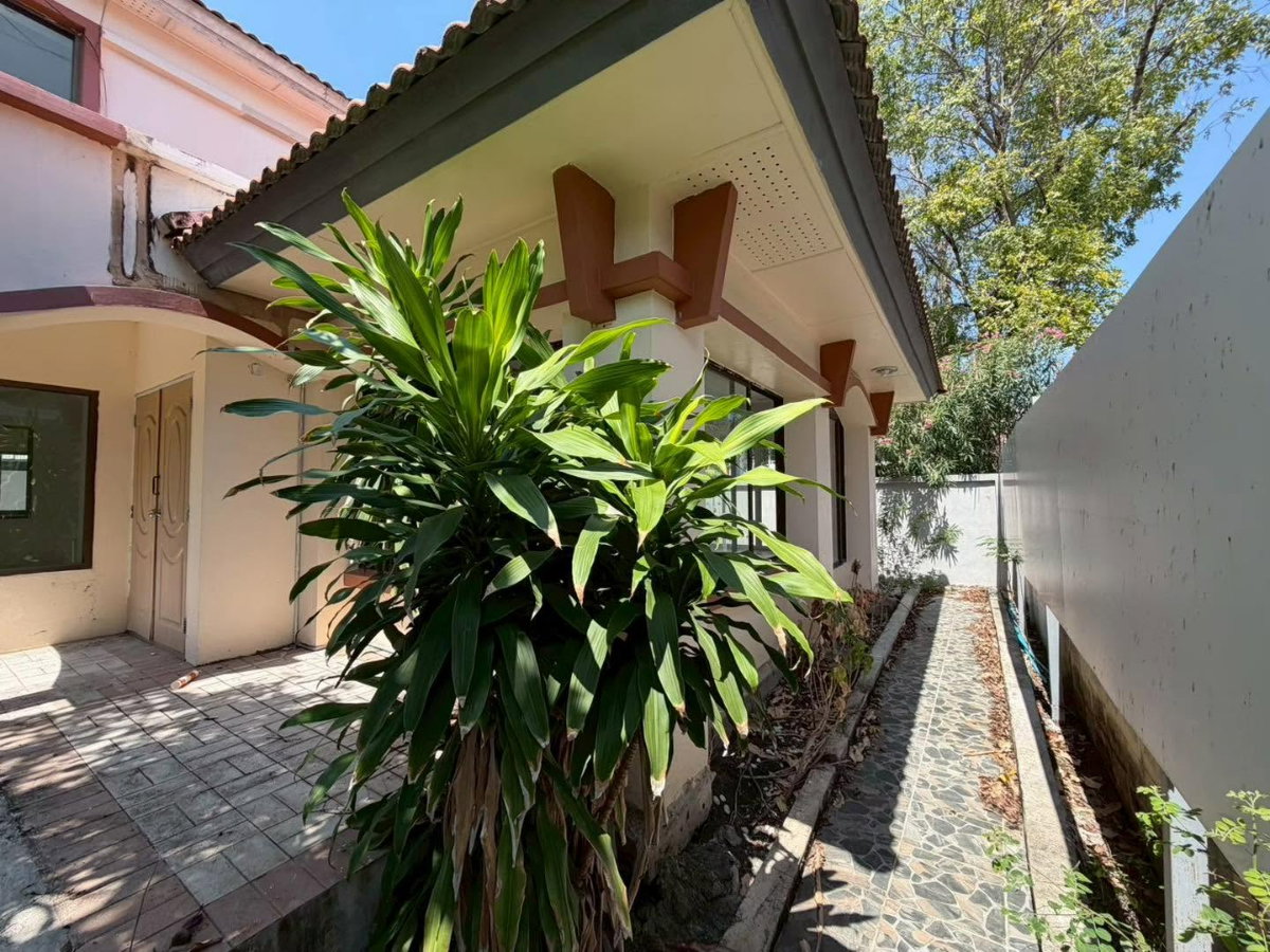 รูป ขายบ้านเดี่ยวตามสภาพ : หมู่บ้านเพลสแอนด์พาร์ค ประชาอุทิศ 90 ขนาดที่ดิน 70.1 ตารางวา 4 ห้องนอน 2 ห้องน้ำ - รูปที่ 13/21