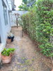 listing thumbnail image 24