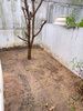 listing thumbnail image 23