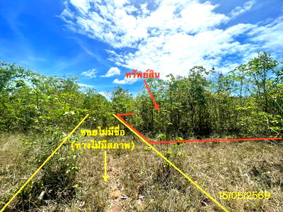 LAND 50 Sq.w. Rattaphum Songkhla for 300,000