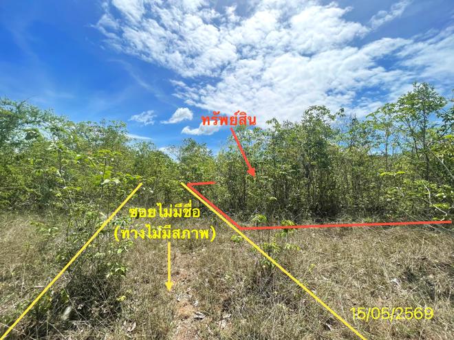 picture LAND 50 Sq.w. Rattaphum Songkhla for 225,000 - 1/14