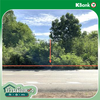 listing thumbnail image 13