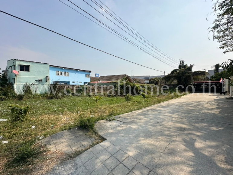 รูป ที่ดินเปล่า ซอยไผ่เตย 1 แปลงริม หลังบิ๊กซี ห้วยจรเข้ - นครปฐม - รูปที่ 2/13