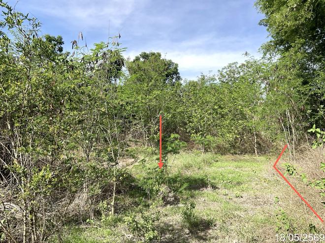 picture LAND 1554 Sq.w. Nong Ma Mong Chainat for 972,000 - 4/16