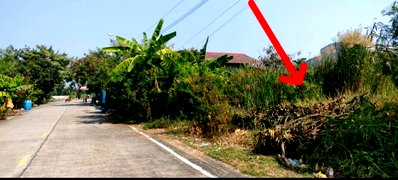 Land for sale Mahidol University Salaya : Land for urgent sale, 75 square wah, located in Sala Klang Sub-district, Nonthaburi Province.