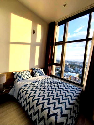 Condos for rent : The Line Sukhumvit 101 (BTS Punnawithi)