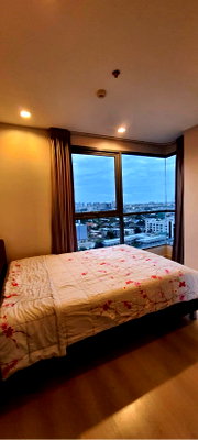 Condos for rent :  Ideo Mobi Sukhumvit 81 (BTS Onnut)