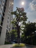 listing thumbnail image 10