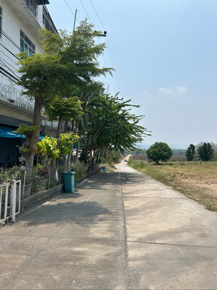 รูป ขายที่ดินติดถนนมิตรภาพ ทำเลดี เหมาะสำหรับทำที่อยู่อาศัย มีทั้งแปลงใหญ่ และแปลงเล็ก - รูปที่ 8/12