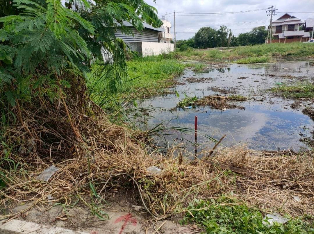 picture Land for urgent sale, 75 square wah, located in Sala Klang Sub-district, Nonthaburi Province. - 3/4