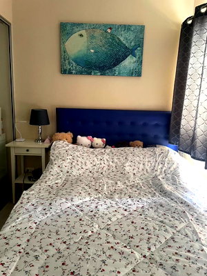 ขายคอนโด : 📢P.ขายPlum Condo Park Rangsit ราคาถูก ใกล้ม.กรุงเทพ  (S-Bu22048)