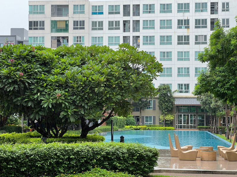 รูป 🌟🏢 ขาย D Condo Nim ห้องใหญ่ 37 ตร.ม. วิวสระว่ายน้ำและสวน พร้อมเข้าอยู่ ✨ - รูปที่ 14/19