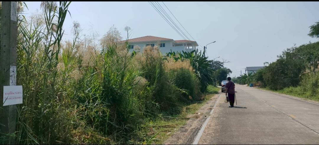 picture Land for urgent sale, 75 square wah, located in Sala Klang Sub-district, Nonthaburi Province. - 2/4