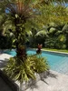listing thumbnail image 16