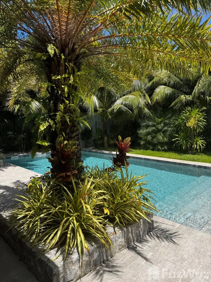 picture 3 Bedroom Villa for sale in Rawai, Phuket 6479365 - 17/19