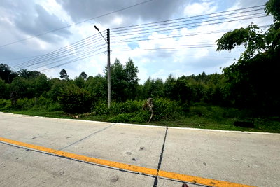 Land for sale Phanat Nikhom Chonburi : Land for sale near the industrial estate(Owner selling by themselves