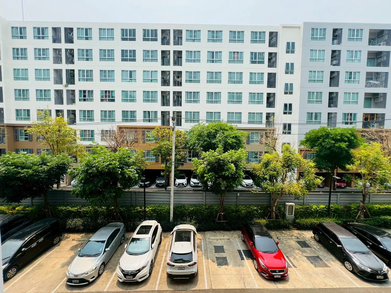 picture 🌿🏢 D Condo Ping for Rent | Spacious 37 sq.m. Unit | South-Facing | Ready to Move In ✨ - 1/14