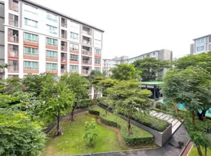 🌿🏢 ปล่อยเช่า ดีพิงค์ คอนโดเชียงใหม่ วิวสวน พร้อมเข้าอยู่ ✨