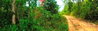 listing thumbnail image 8