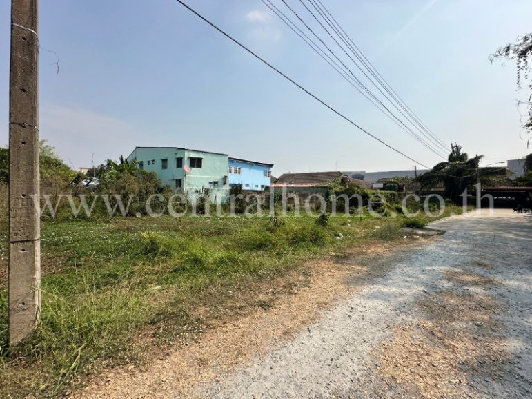 รูป ที่ดินเปล่า ซอยไผ่เตย 1 แปลงริม หลังบิ๊กซี ห้วยจรเข้ - นครปฐม - รูปที่ 4/13