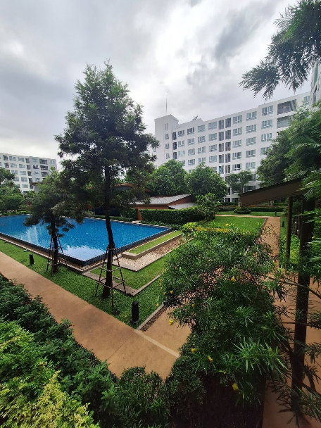 picture  D Condo Nim for Rent   Size 37 sq.m. | 8th Floor - 16/19