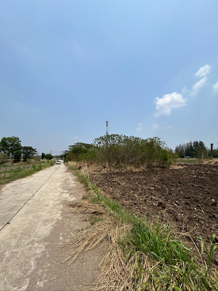 รูป ขายที่ดินติดถนนมิตรภาพ ทำเลดี เหมาะสำหรับทำที่อยู่อาศัย มีทั้งแปลงใหญ่ และแปลงเล็ก - รูปที่ 6/12