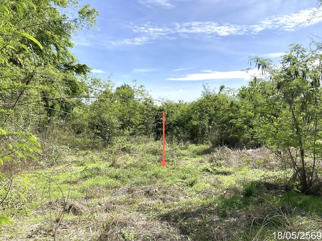 picture LAND 1554 Sq.w. Nong Ma Mong Chainat for 972,000 - 6/16