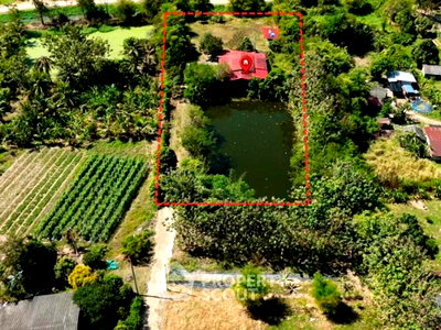 บ้านเดี่ยว ชลบุรี : บ้าน 3-ห้องนอน ใน นาวังหิน (ID 3016039)
