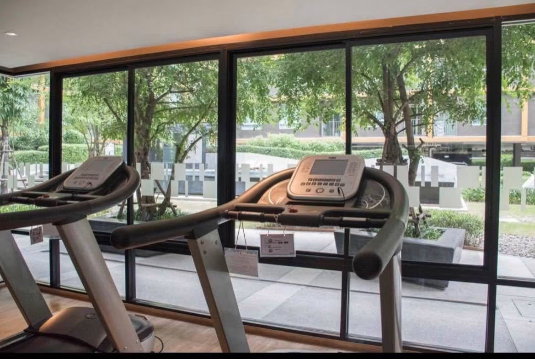 picture 📍Owner Post 📍Condo U Campus Rungsit muengake for rent - 13/14