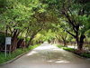listing thumbnail image 28