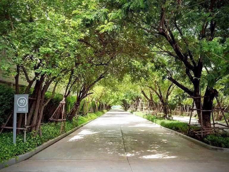 รูป 🏠 ให้เช่าบ้าน : Anasiri Chaiyapruek - Wongwaen (อณาสิริ ชัยพฤกษ์ - วงแหวน) รหัสทรัพย์ | 📌LNP-H1059 - รูปที่ 29/30