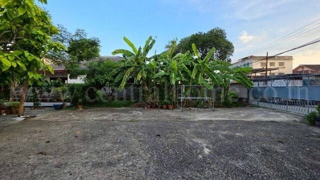 รูป ที่ดิน 102 ตรว. ถมแล้ว ทำเลดี ลาดพร้าว-วังหิน โชคชัย4 ราคาถูก - รูปที่ 14/17